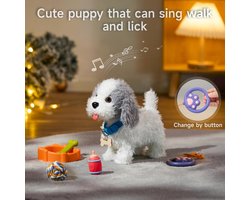 OR OR TU Walking Dog Toys for Kids, Plush Electronic Pets Dog Singing Puppy, Toy Dogs Walking and Barking on a Lead, Interactive Toy Dog for Kids 3 4 5 6 7