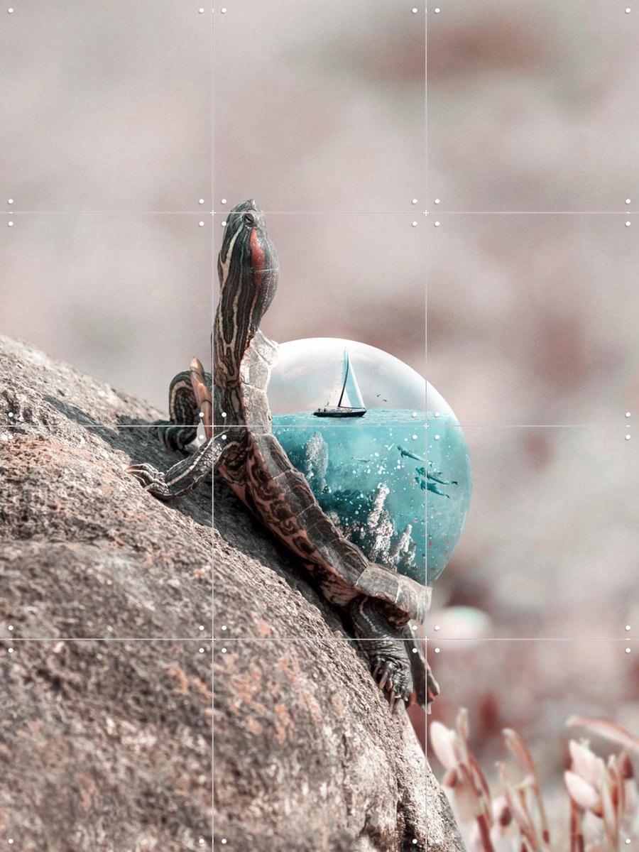 IXXI Aqua Turtle, Julien Tabet - 60 x 80 cm - Gratis ophangtool - Grote wanddecoratie en posters - Surrealisme, Digitale Kunst, Speels, Woonkamer