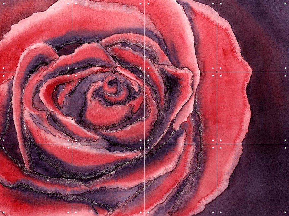 IXXI Red Rose, Natalie Bruns - 80 x 60 cm - Gratis ophangtool - Grote wanddecoratie en posters - Aquarel, Kleurrijk, Eetkamer, Slaapkamer, Woonkamer