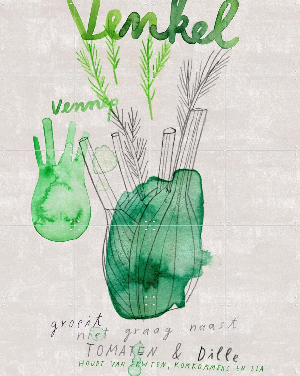 IXXI Venkel, Signorinah - 80 x 100 cm - Gratis ophangtool - Grote wanddecoratie en posters - Aquarel, Illustraties, Line art, Eetkamer, Woonkamer