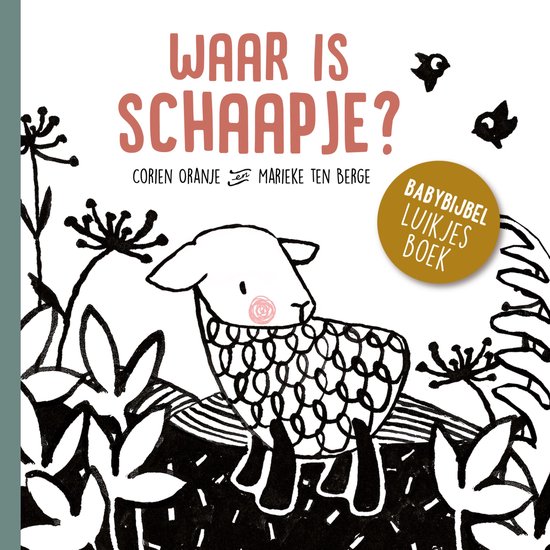 Waar is schaapje? - cover