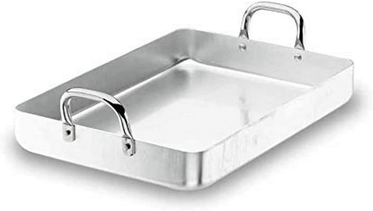 Universele Spit voor BBQ en Oven 50 cm