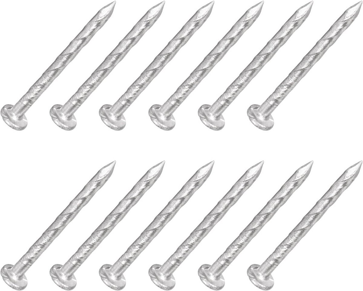 Voordelige Deck Nagels met Spiraal Shank - Roestvrij Staal voor Houtbouw en Reparatie