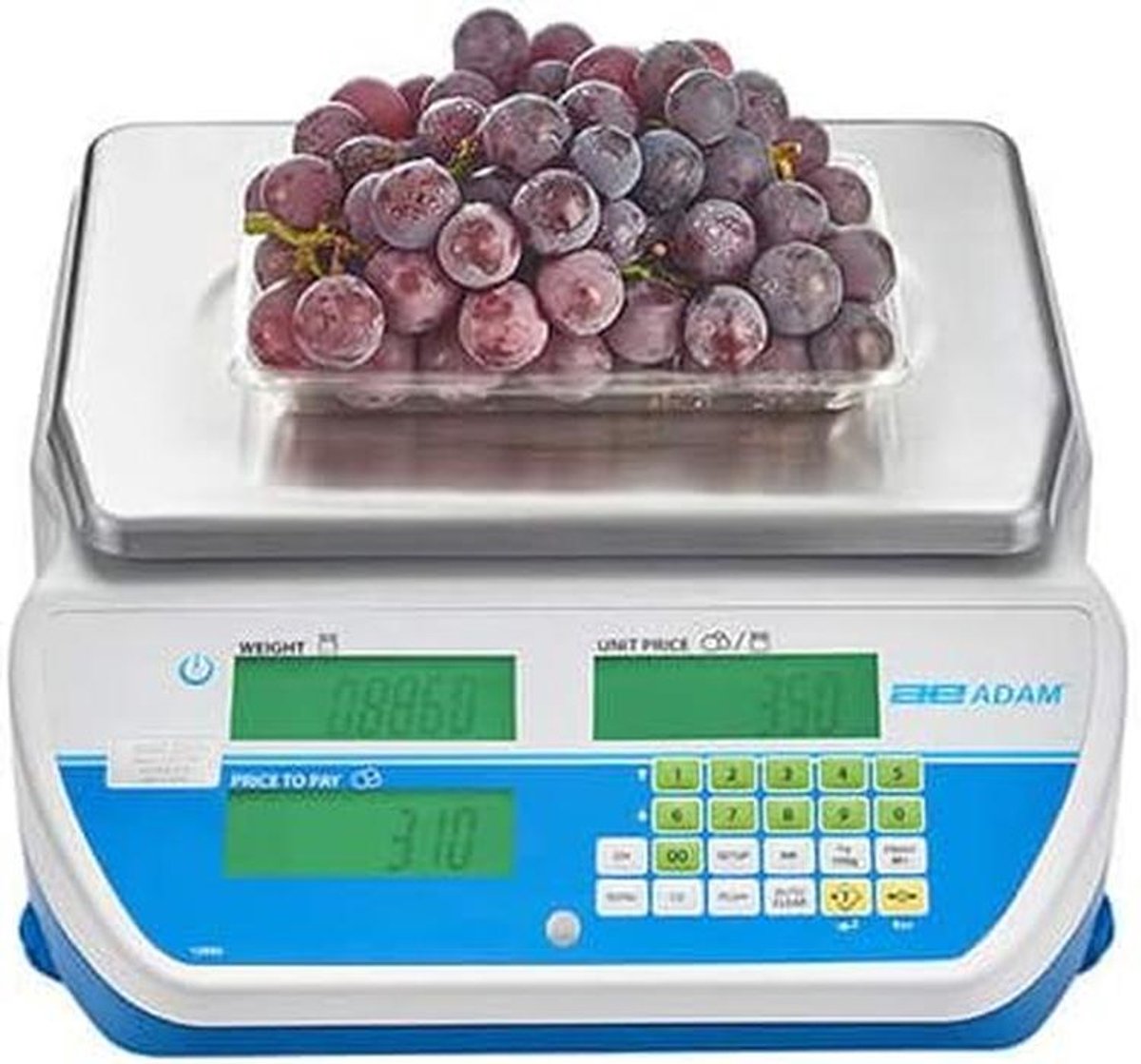 Digitale Weegschaal met Tarra en Prijsberekening - 3kg Capaciteit