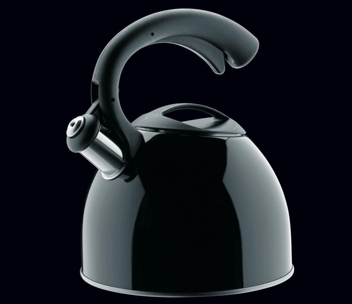 Waterketel - Theeketel Fluitketel - Water Koken - Geschikt Inductie - 25 Liter