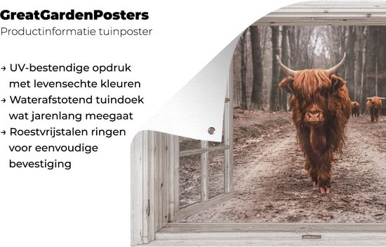 Een schotse hooglander kijkt uit een raam, met bos op de achtergrond. UV-bestendige, waterdichte tuindecoratie.