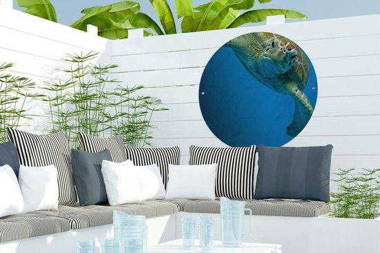 Affiche de jardin Tortue ronde - Impression photo contact visuel avec tortue Affiche de jardin - Affiche de jardin ronde 60x60 cm - Toile de jardin / Toile d'extérieur / Peintures pour l'extérieur (décoration de jardin)