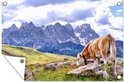 Banner met koe en bergen op een zonnige dag met wolken.