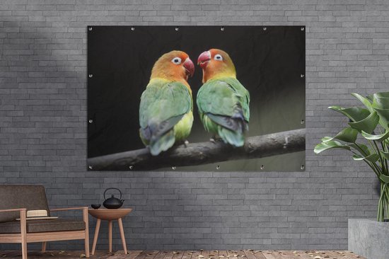 Décoration murale Impression photo Inséparables perroquets - 180x120 cm - Affiche jardin