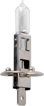 ProPlus Autolamp - 12 Volt - 55 Watt - P14.5S - H1