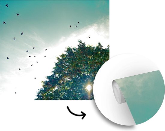Papier Peint - Papier Papier peint photo Forêt - Arbre - Vogel - Largeur 300 cm x Hauteur 300 cm