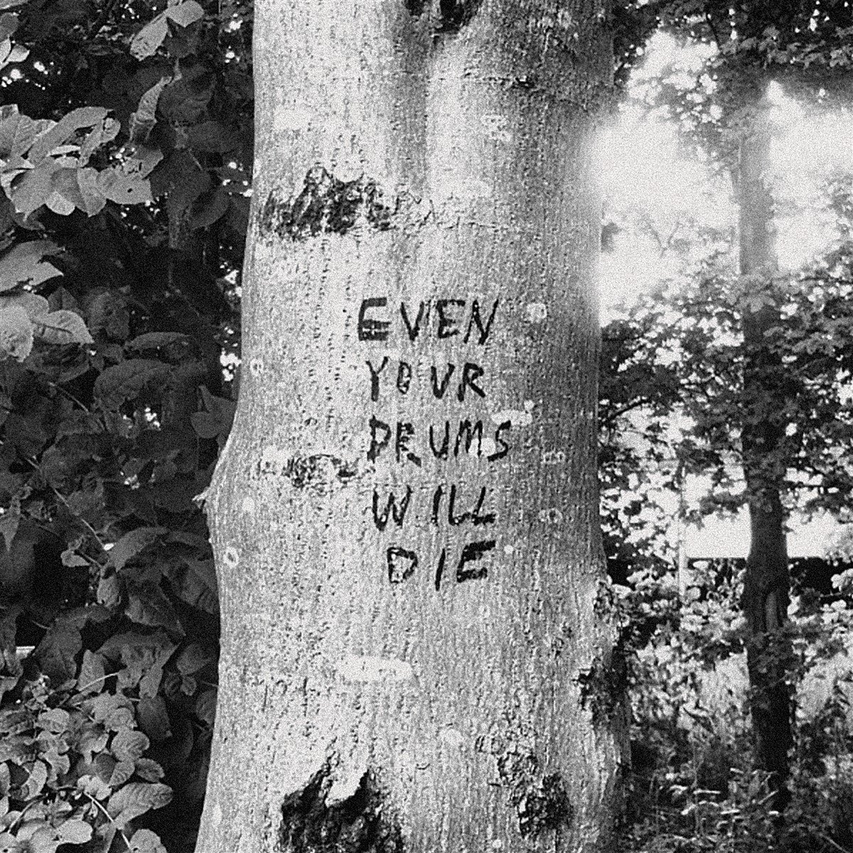 Richard Swift - Even Your Drums Will Die - Live At Pendarvis Farm 2011 (LP)