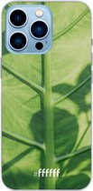 6F hoesje - geschikt voor iPhone 13 Pro - Transparant TPU Case - Leaves Macro #ffffff