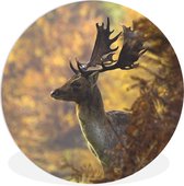 Cercle Mural - Cercle Mural Intérieur - Cerf - Bois - Automne - ⌀ 60 cm - Décoration murale - Peintures Ronds
