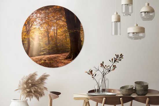 WallCircle - Wall Circle - Wall Circle - Arbres - Automne - Oranje - Aluminium - Dibond - 140x140 cm - Intérieur et Extérieur