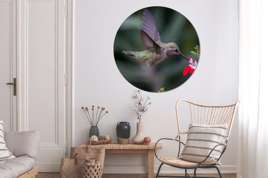 WallCircle - Cercle Mural - Cercle Mural - Colibri - Bloem - Rouge - Aluminium - Dibond - 140x140 cm - Intérieur et Extérieur