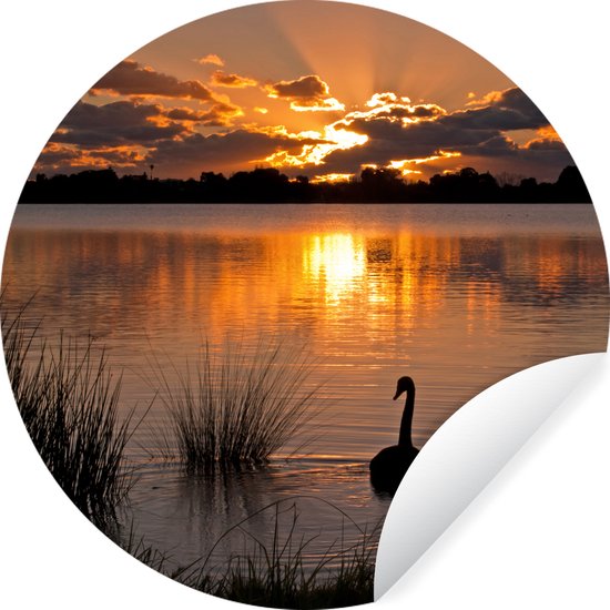 Foto: Wallcircle muurstickers behangcirkel zonnestralen zwaan wolken 30x30 cm muurcirkel zelfklevend ronde behangsticker