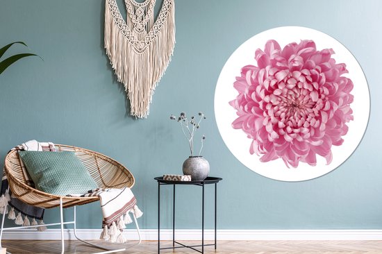 Autocollant de papier peint cercle mural chrysanthème rose ⌀ 140 cm / cercle de papier peint / cercle mural / cercle vivant - auto-adhésif et découpe ronde