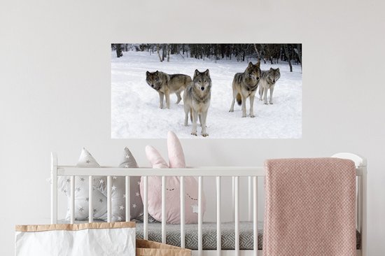 Stickers Stickers muraux - Loup - Neige - Canada - 80x40 cm - Feuille adhésive