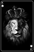 Kings of lion – 80cm x 120cm - Fotokunst op PlexiglasⓇ incl. certificaat & garantie.