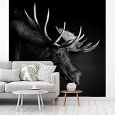 Behang - Fotobehang Eland - Gewei - zwart wit - Breedte 220 cm x hoogte 220 cm