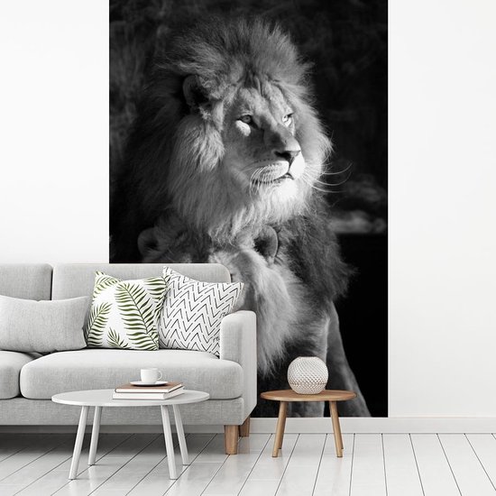 Papier peint - Papier peint photo Deux lions - noir et blanc - Largeur 160 cm x hauteur 240 cm