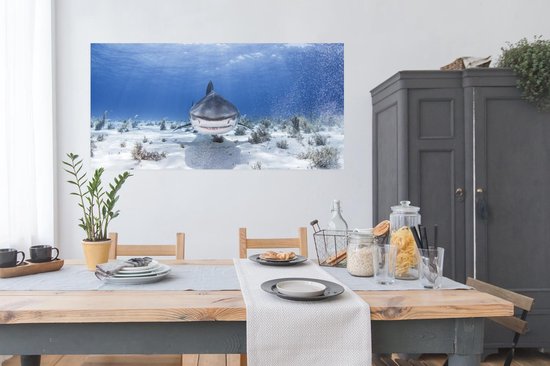 Affiche - Requin nageur - 160x80 cm