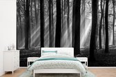 Behang - Fotobehang Licht van de herfstzon schijnt op oude bomen - zwart wit - Breedte 450 cm x hoogte 300 cm