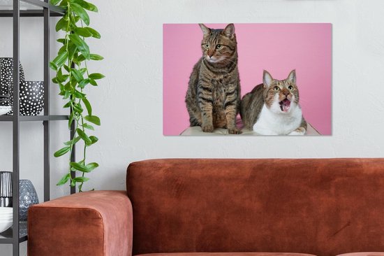 Deux chats devant fond rose Toile 60x40 cm - Tirage photo sur toile (Décoration murale salon / chambre) / Peintures sur toile animaux