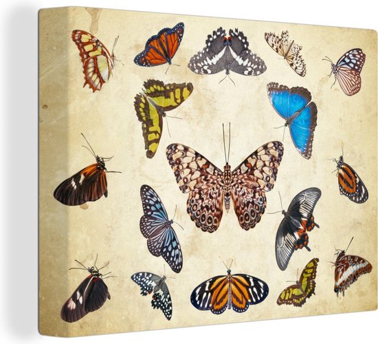 Canvas schilderij 160x120 cm - Wanddecoratie Botanische print vlinders - Muurdecoratie woonkamer - Slaapkamer decoratie - Kamer accessoires - Schilderijen