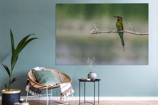 Tableau sur toile Le guêpier nain est assis sur une branche - 150x100 cm - Décoration murale