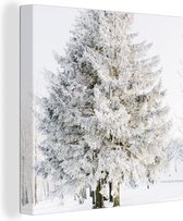 Canvas Schilderij Winter - Boom - Sneeuw - Den - Wit - 20x20 cm - Wanddecoratie