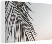 Canvas Schilderij Zomer - Palmboom - Blad - 30x20 cm - Wanddecoratie