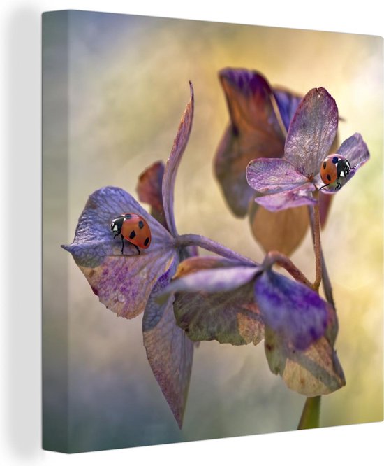 Twee lieveheersbeestjes op bloemen Canvas 120x80 cm - Foto print op Canvas schilderij (Wanddecoratie)