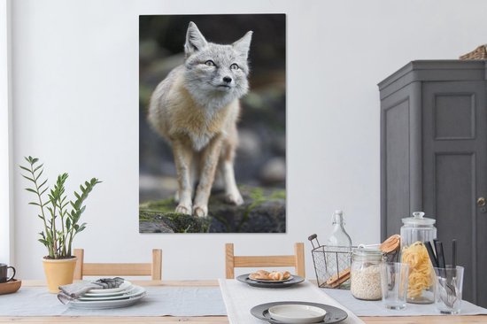 Toile Steppevos 80x120 cm - Tirage photo sur toile (Décoration murale salon / chambre) / Peintures sur toile Animaux