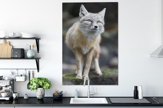 Toile Steppevos 80x120 cm - Tirage photo sur toile (Décoration murale salon / chambre) / Peintures sur toile Animaux