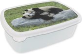 Broodtrommel Wit - Lunchbox - Brooddoos - Pandas - Gras - Steen - 18x12x6 cm - Volwassenen