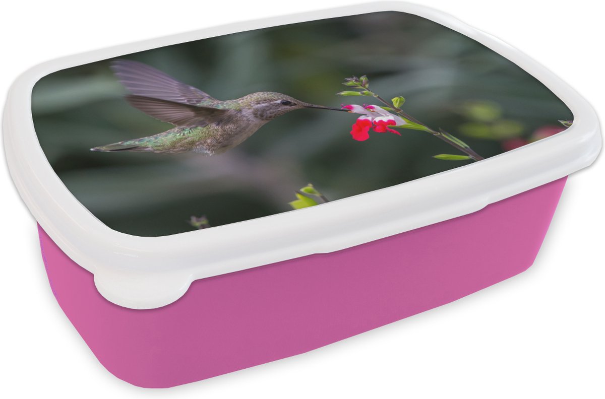 Broodtrommel Roze - Lunchbox - Brooddoos - Kolibrie - Bloem - Rood - 18x12x6 cm - Kinderen - Meisje