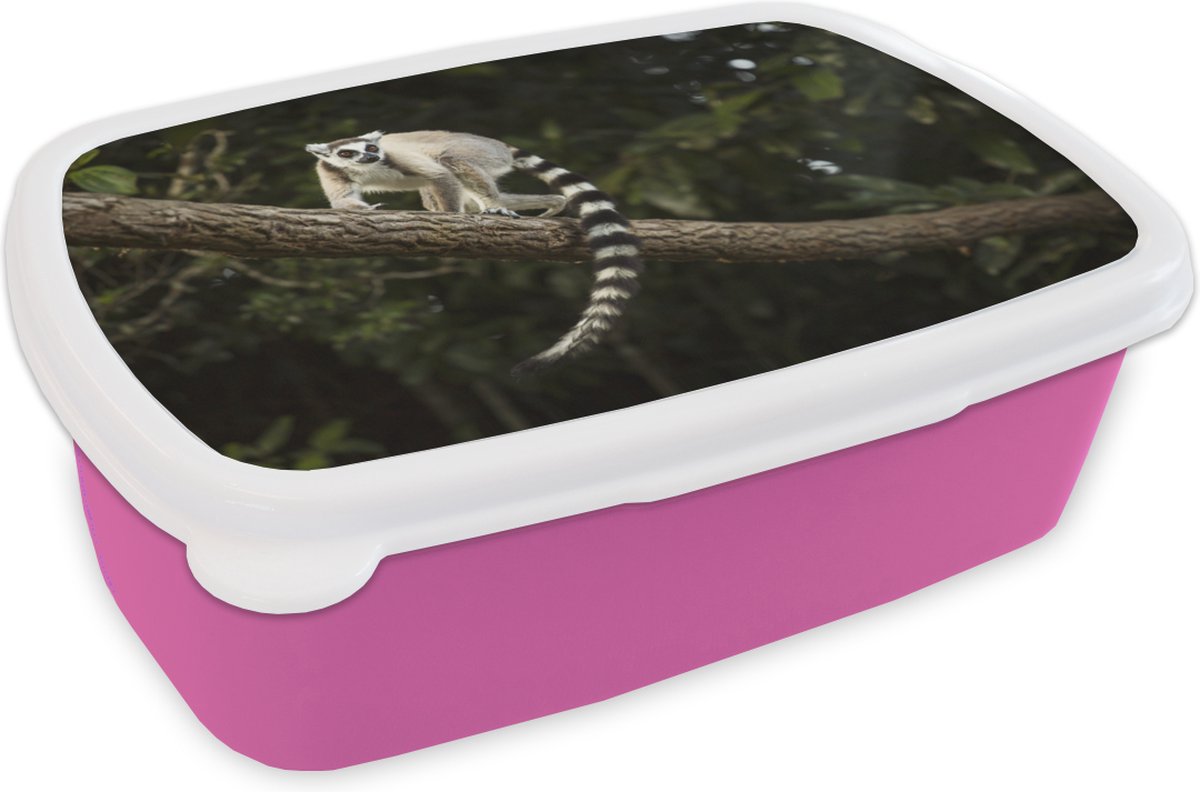 Broodtrommel Roze - Lunchbox - Brooddoos - Aap - Tak - Dier - 18x12x6 cm - Kinderen - Meisje