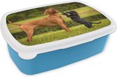 Broodtrommel Blauw - Lunchbox - Brooddoos - Een puppy speelt met een volwassen hond - 18x12x6 cm - Kinderen - Jongen