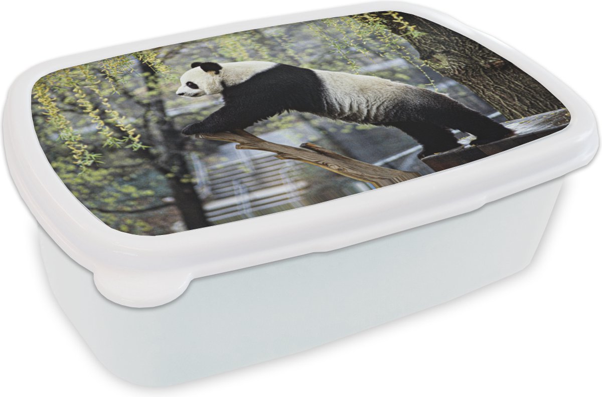 Broodtrommel Wit - Lunchbox - Brooddoos - Panda - Rivier - Boom - 18x12x6 cm - Volwassenen
