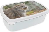 Broodtrommel Wit - Lunchbox - Brooddoos - Lynx - Bos - Grijs - 18x12x6 cm - Volwassenen