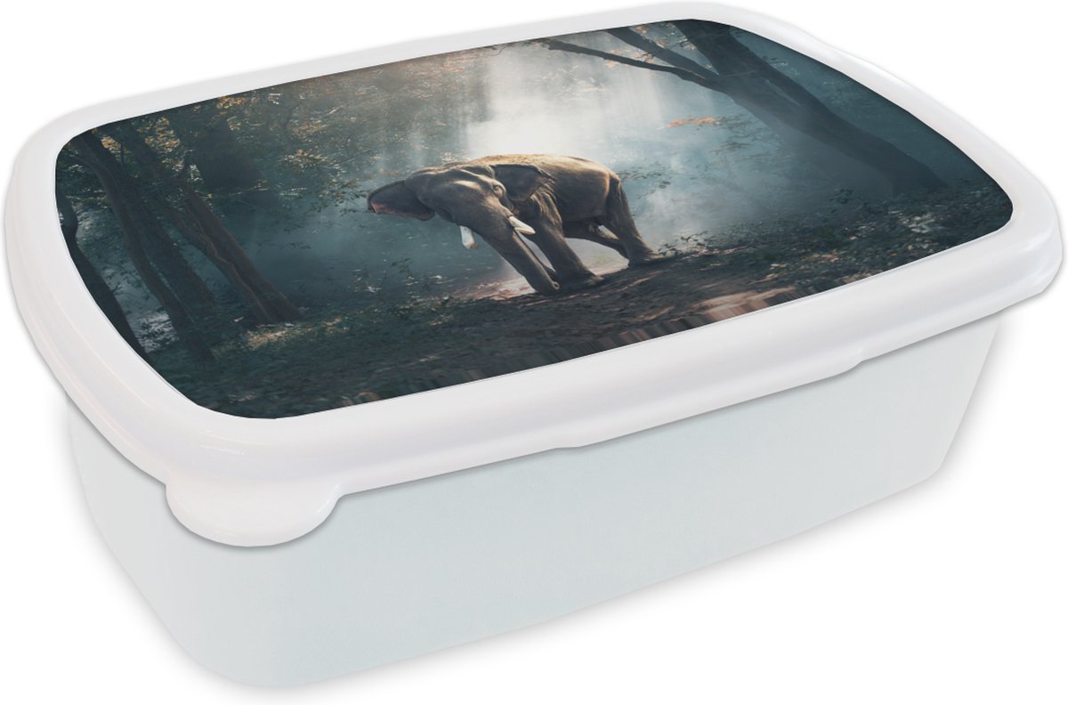Broodtrommel Wit - Lunchbox - Brooddoos - Olifant - Bos - Zon - 18x12x6 cm - Volwassenen