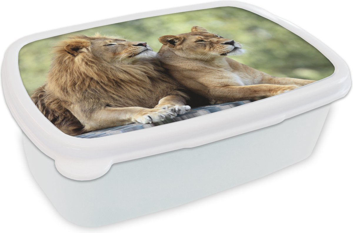 Broodtrommel Wit - Lunchbox - Brooddoos - Wilde dieren - Natuur - Liefde - 18x12x6 cm - Volwassenen