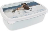 Broodtrommel Wit - Lunchbox Paard - Sneeuw - Winter - Brooddoos 18x12x6 cm - Brood lunch box - Broodtrommels voor kinderen en volwassenen