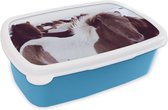 Broodtrommel Blauw - Lunchbox - Brooddoos - Paarden - Sneeuw - IJsland - 18x12x6 cm - Kinderen - Jongen