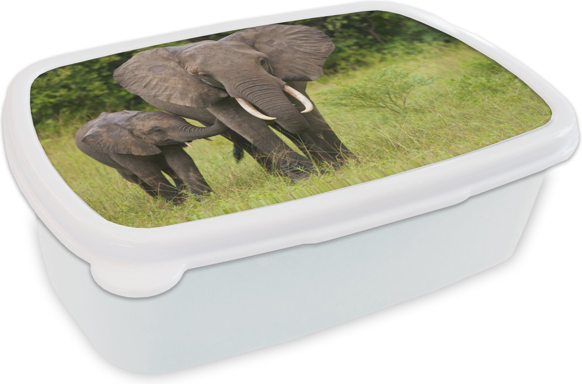 Broodtrommel Wit - Lunchbox - Brooddoos - Olifant - Kalf - Landschap - 18x12x6 cm - Volwassenen