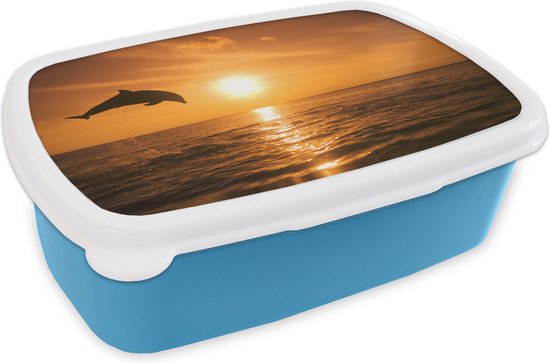 Broodtrommel Blauw - Lunchbox - Brooddoos - Dolfijn - Zon - Zee - 18x12x6 cm - Kinderen - Jongen