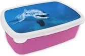 Broodtrommel Roze - Lunchbox - Brooddoos - Dolfijn - Water - Zee - 18x12x6 cm - Kinderen - Meisje