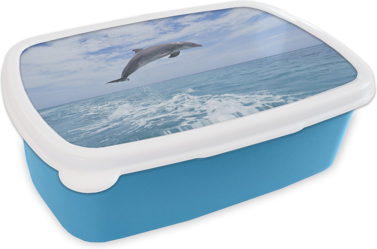 Broodtrommel Blauw - Lunchbox - Brooddoos - Dolfijn - Zee - Lucht - 18x12x6 cm - Kinderen - Jongen